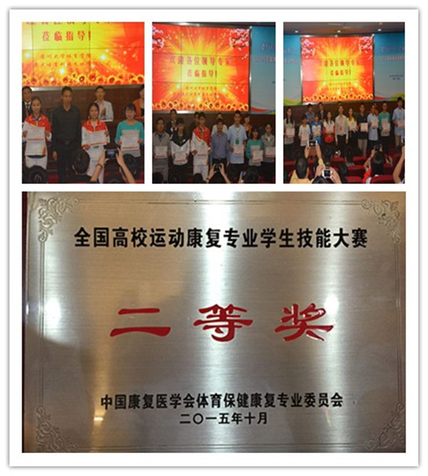 88体育手机版图片