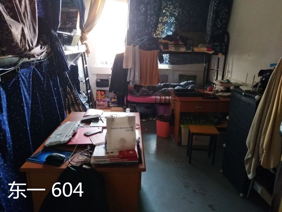 88体育欧洲杯图片