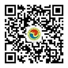 88体育APP下载图片