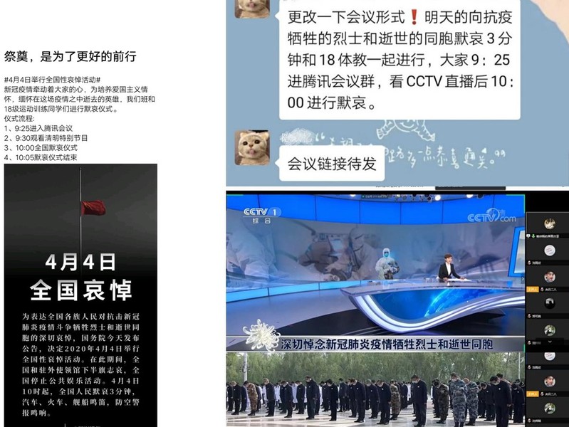 88体育官方线路