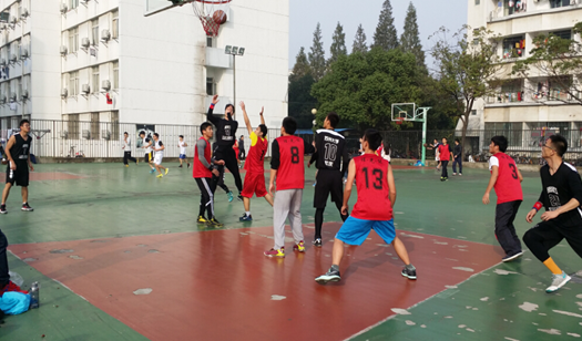 88体育NBA频道图片