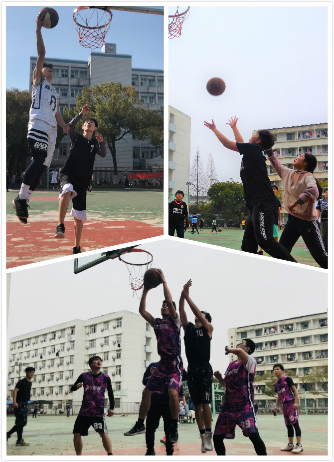 88体育官方线路