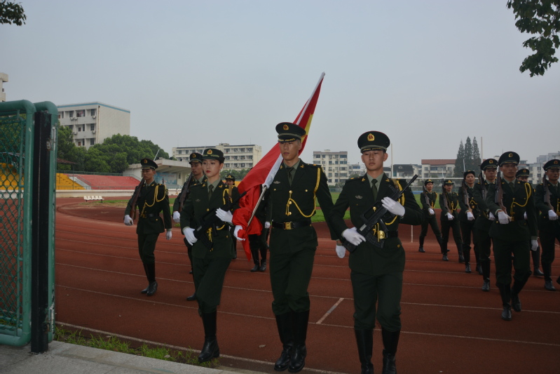88体育官方线路