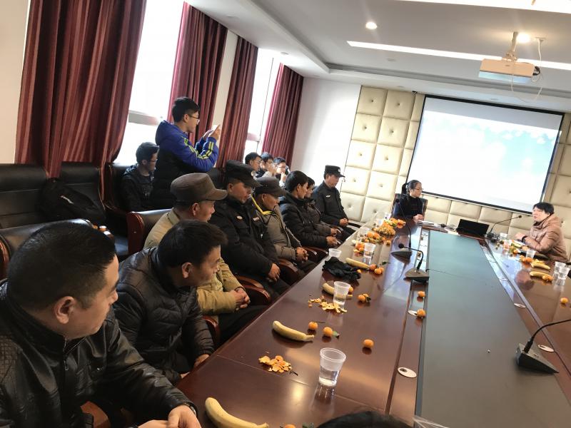 88体育欧洲杯图片